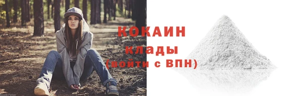 стафф Армянск
