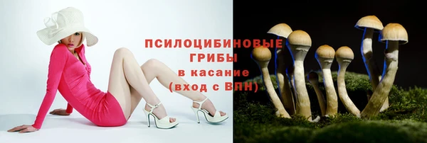 стафф Армянск