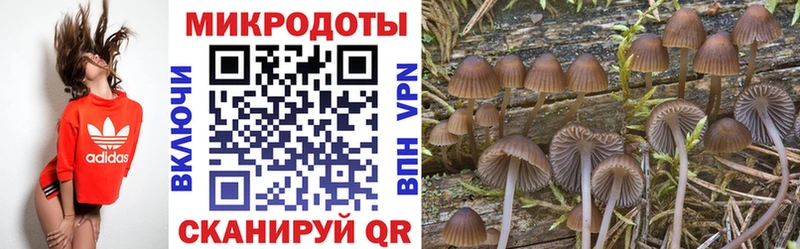 Галлюциногенные грибы прущие грибы Ельня