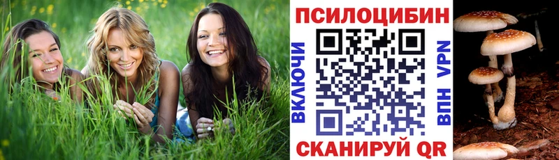 Галлюциногенные грибы мухоморы  блэк спрут ТОР  Ельня 